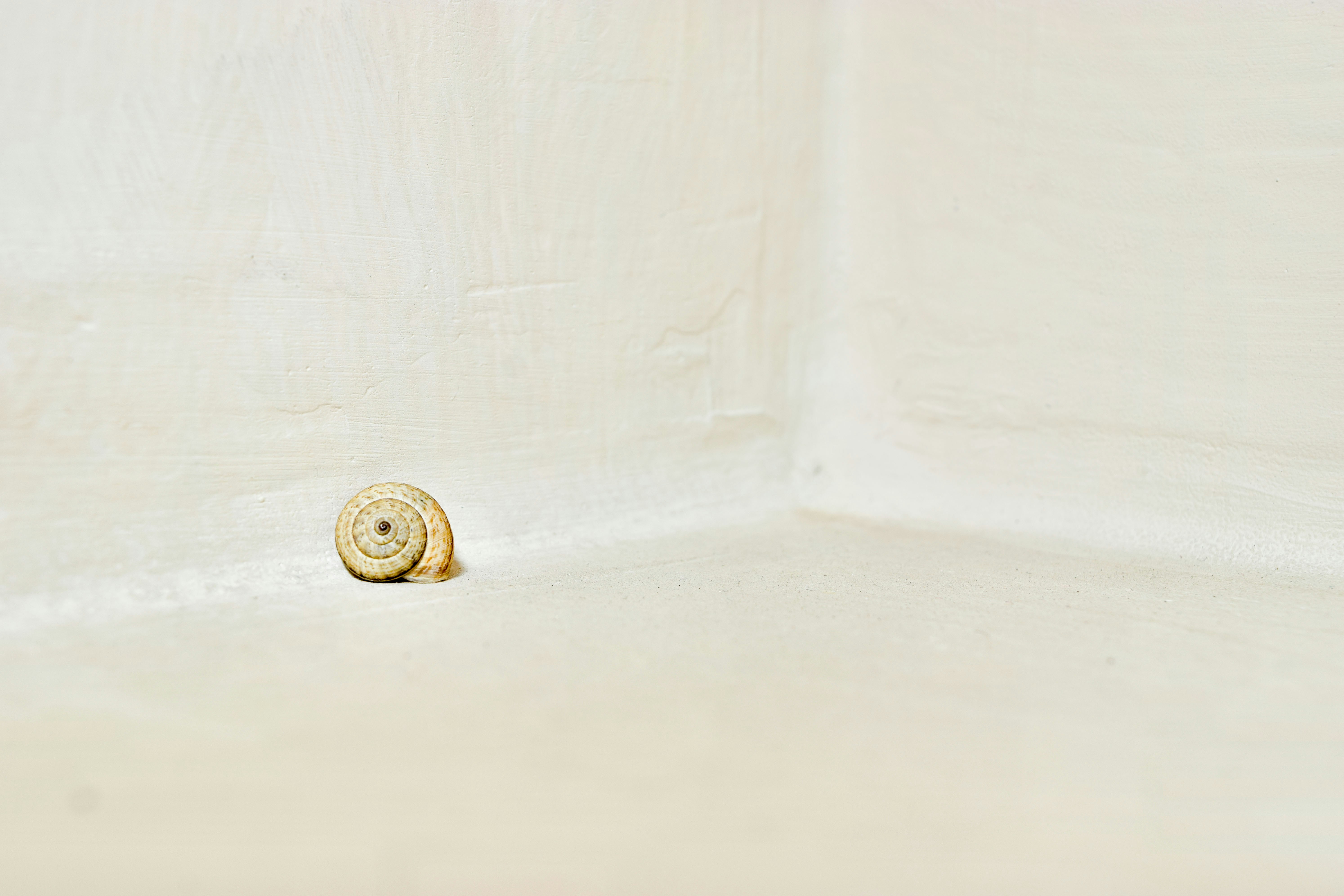 Photo by rameentauqir01