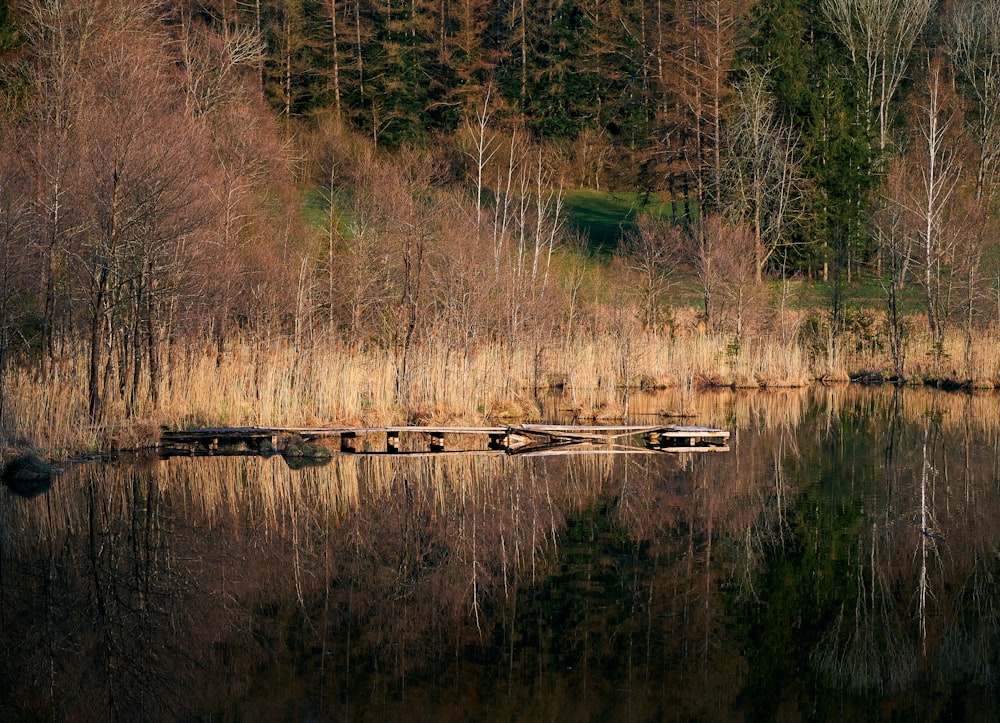 brown wooden dock on lake during daytime