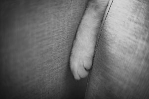 Soft Fleece Blanket