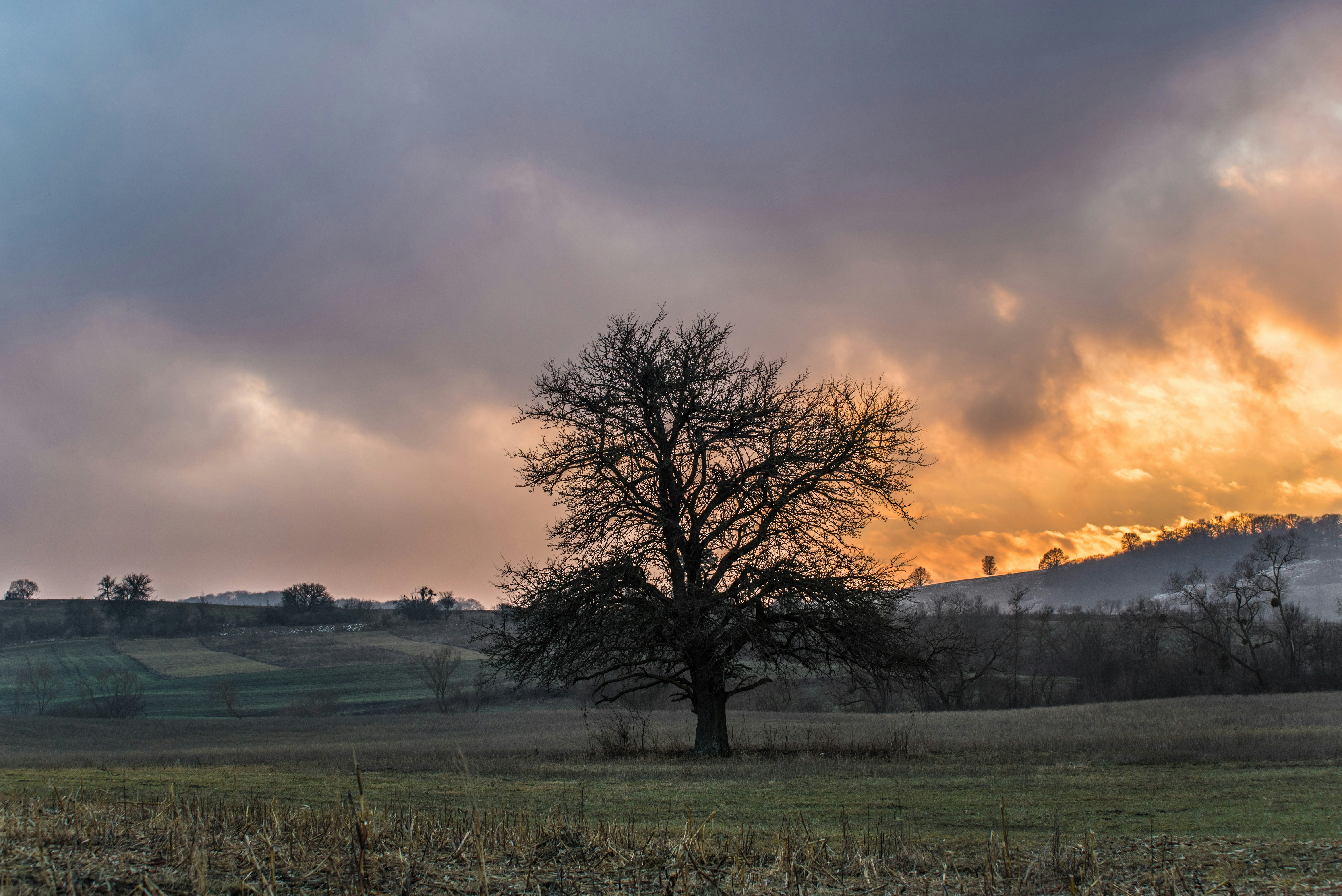 Photo by eduardgross