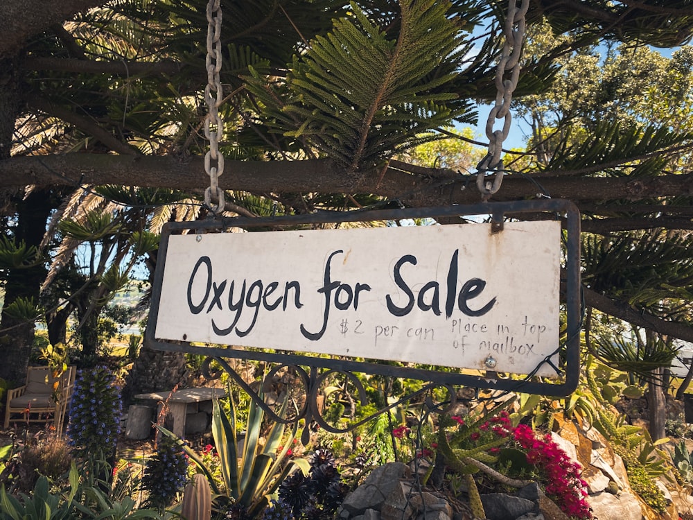 black and white wooden signage