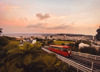 red train on rail near green trees during daytime