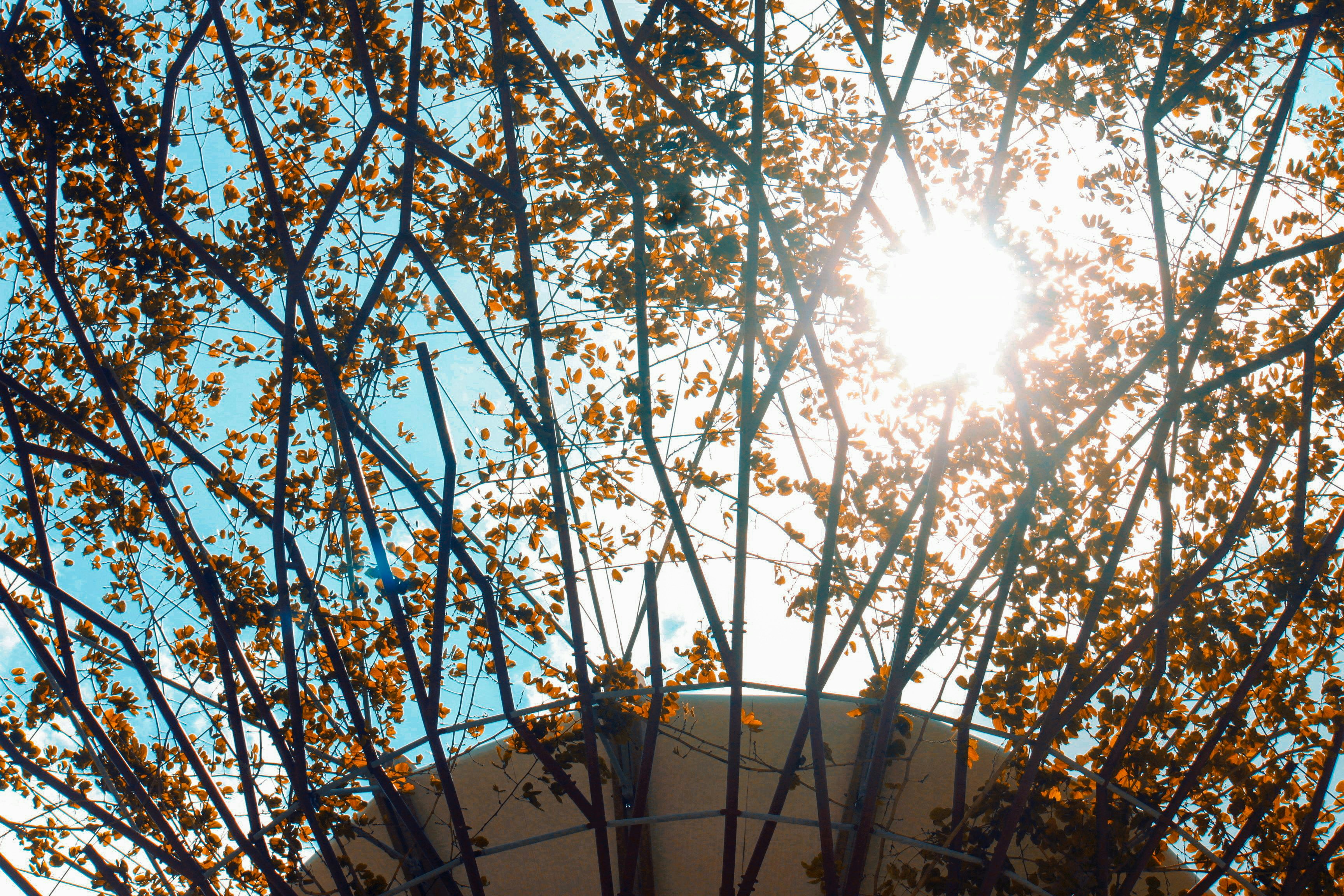 TitanSwap header image