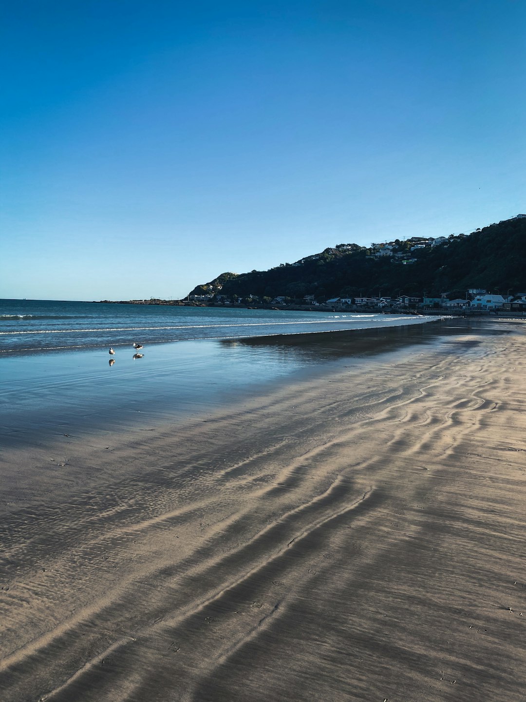 Beach photo spot Lyall Bay Spring Creek