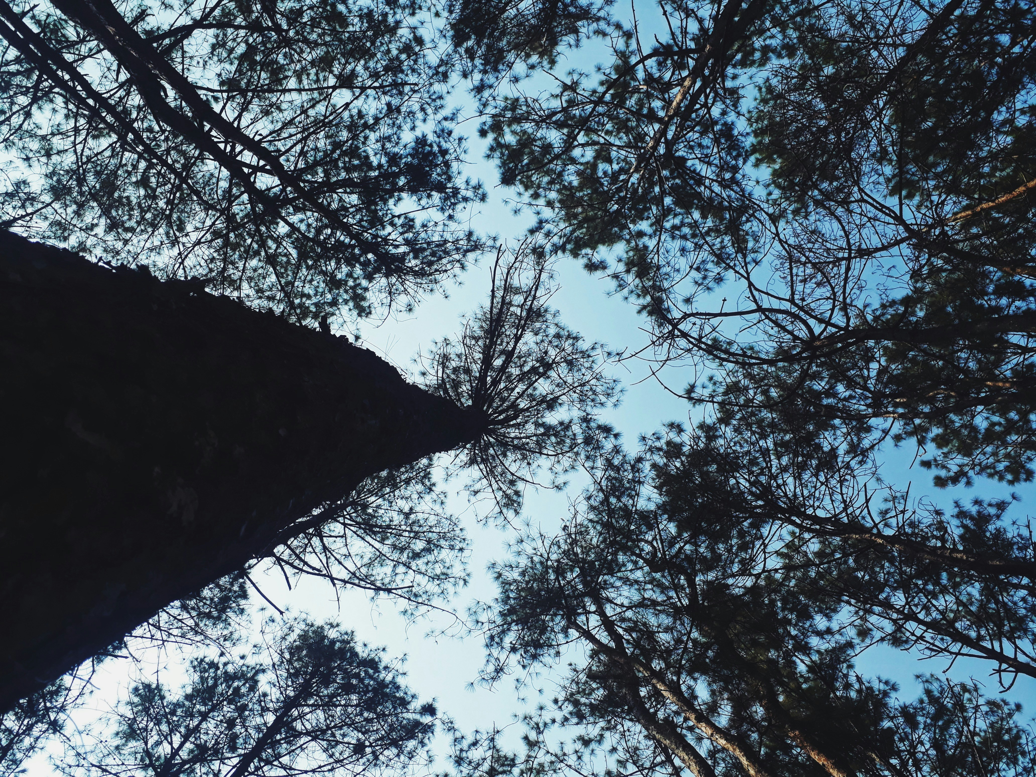 Photo by ratt_snapper