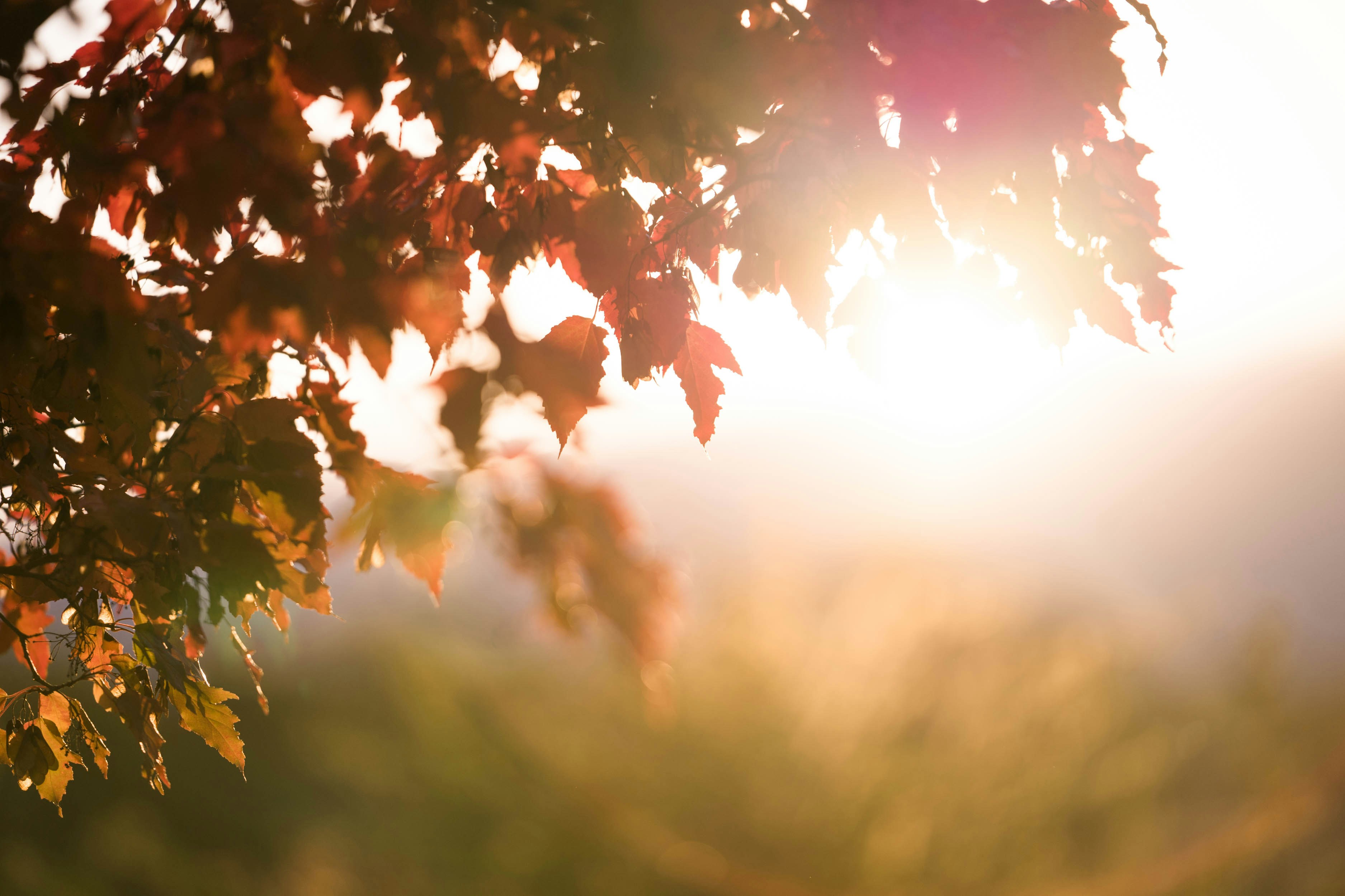 Photo by kbendakhlia