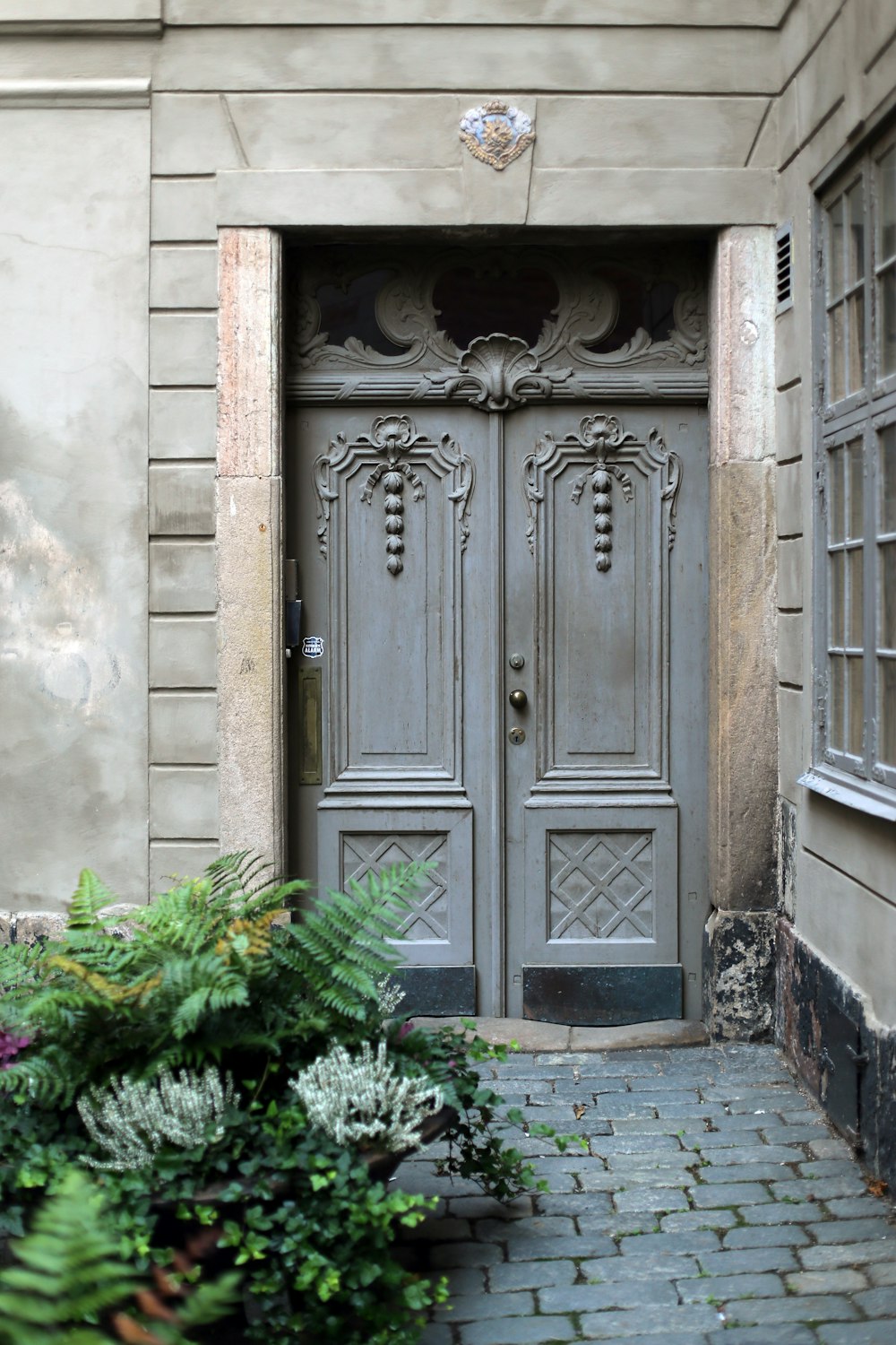 green plants beside gray wooden door