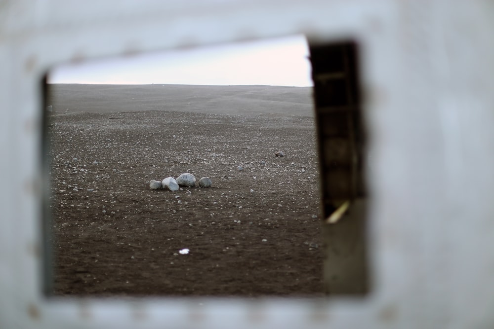 white and gray stones on brown sand