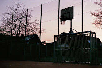 A stunning backyard basketball court with sleek lighting and custom fencing at sunset.