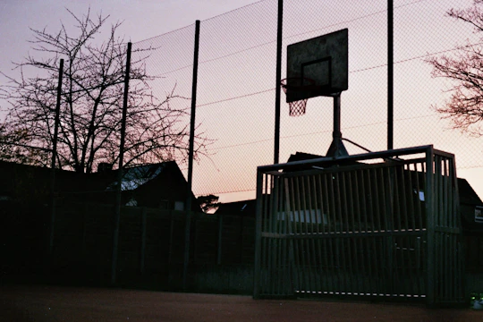 A beautifully designed backyard basketball court with sleek lighting and lush landscaping at sunset.