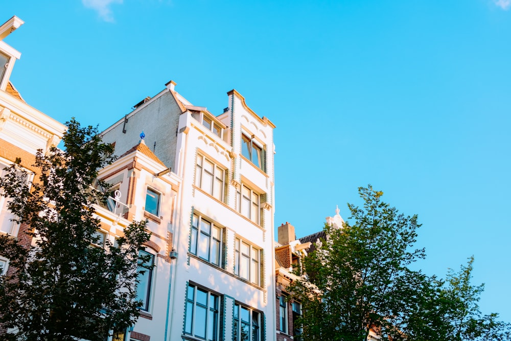 white concrete building near green tree under blue sky during daytime