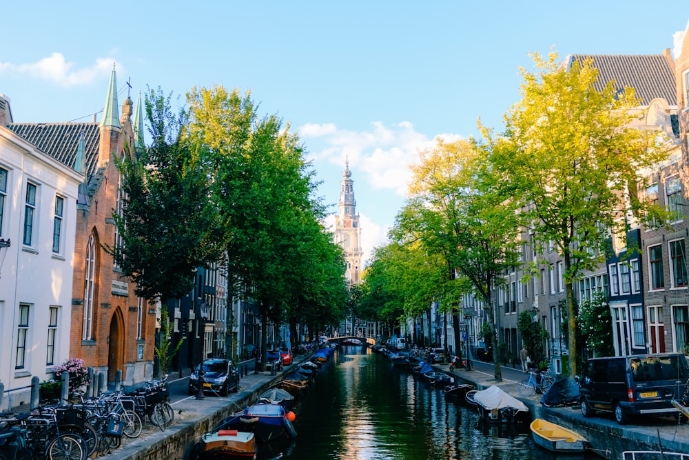 boats on river between trees during daytime