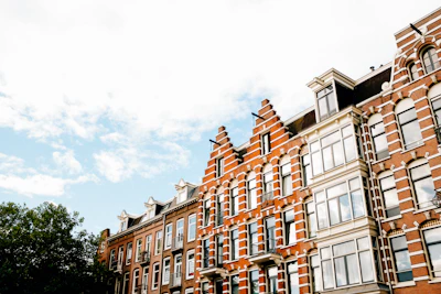 Artisan applying stucco on a house exterior under a sunny Dutch sky.