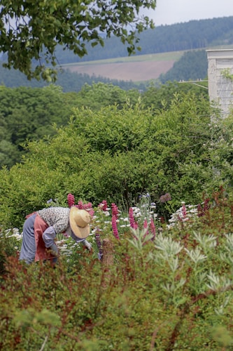 A person wearing a straw hat and patterned clothing is tending to a garden filled with colorful flowers. The garden is lush with greenery and variety of flora. In the background, a landscape of rolling hills and dense forest is visible under a cloudy sky.