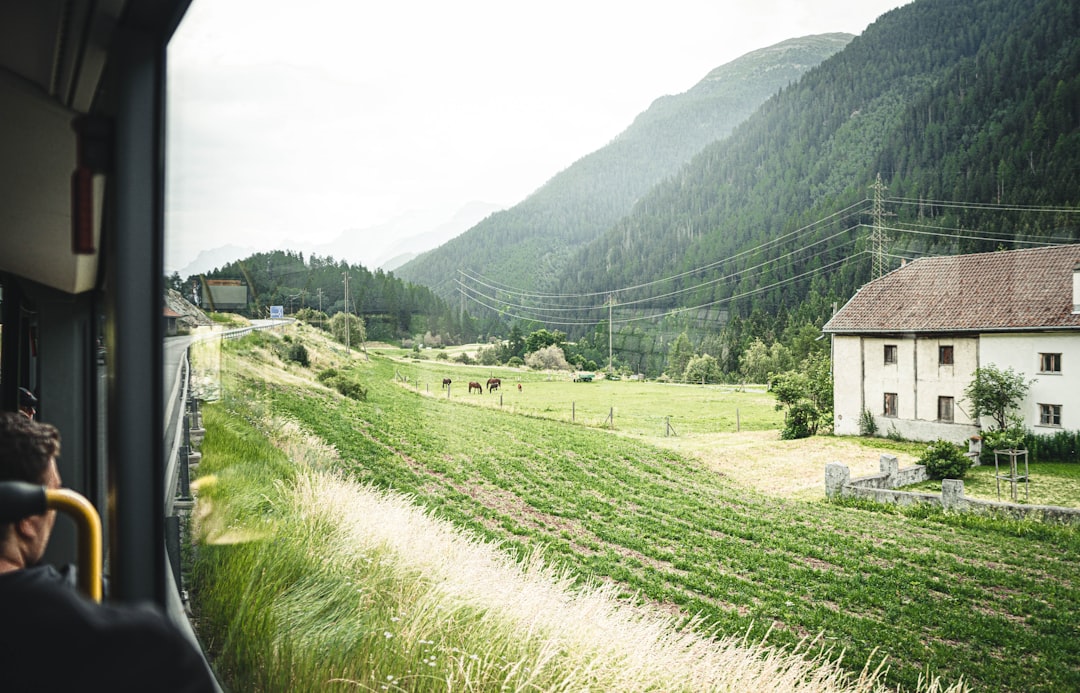 green grass field near green mountains during daytime