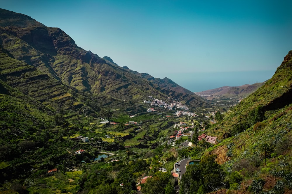 green trees on mountain under blue sky during daytime