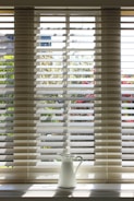 white window blinds during daytime