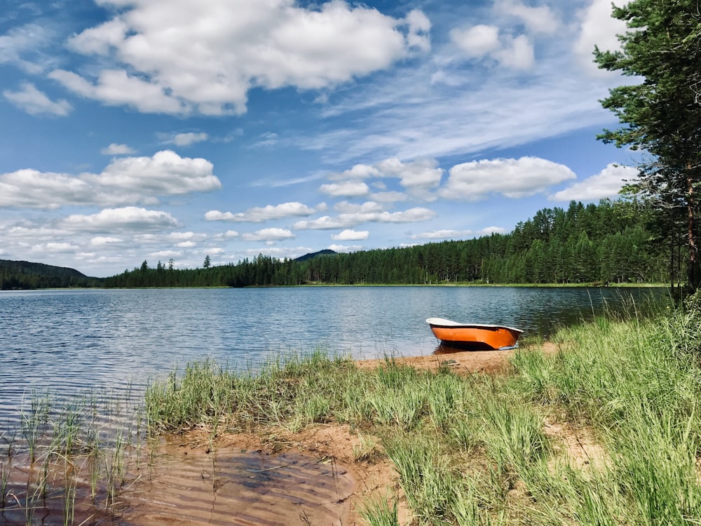 brown boat on lake shore during daytime