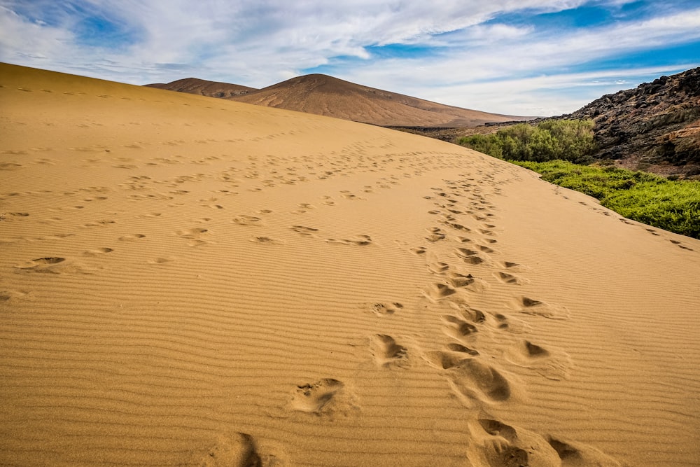 brown sand under blue sky during daytime