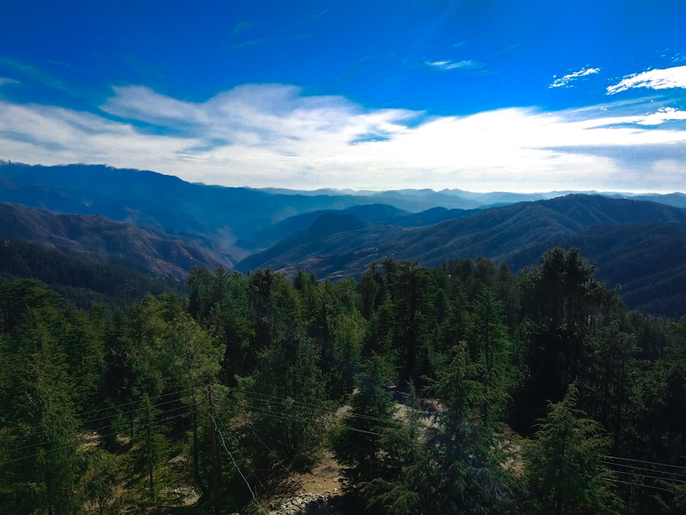 green trees on mountain under blue sky during daytime