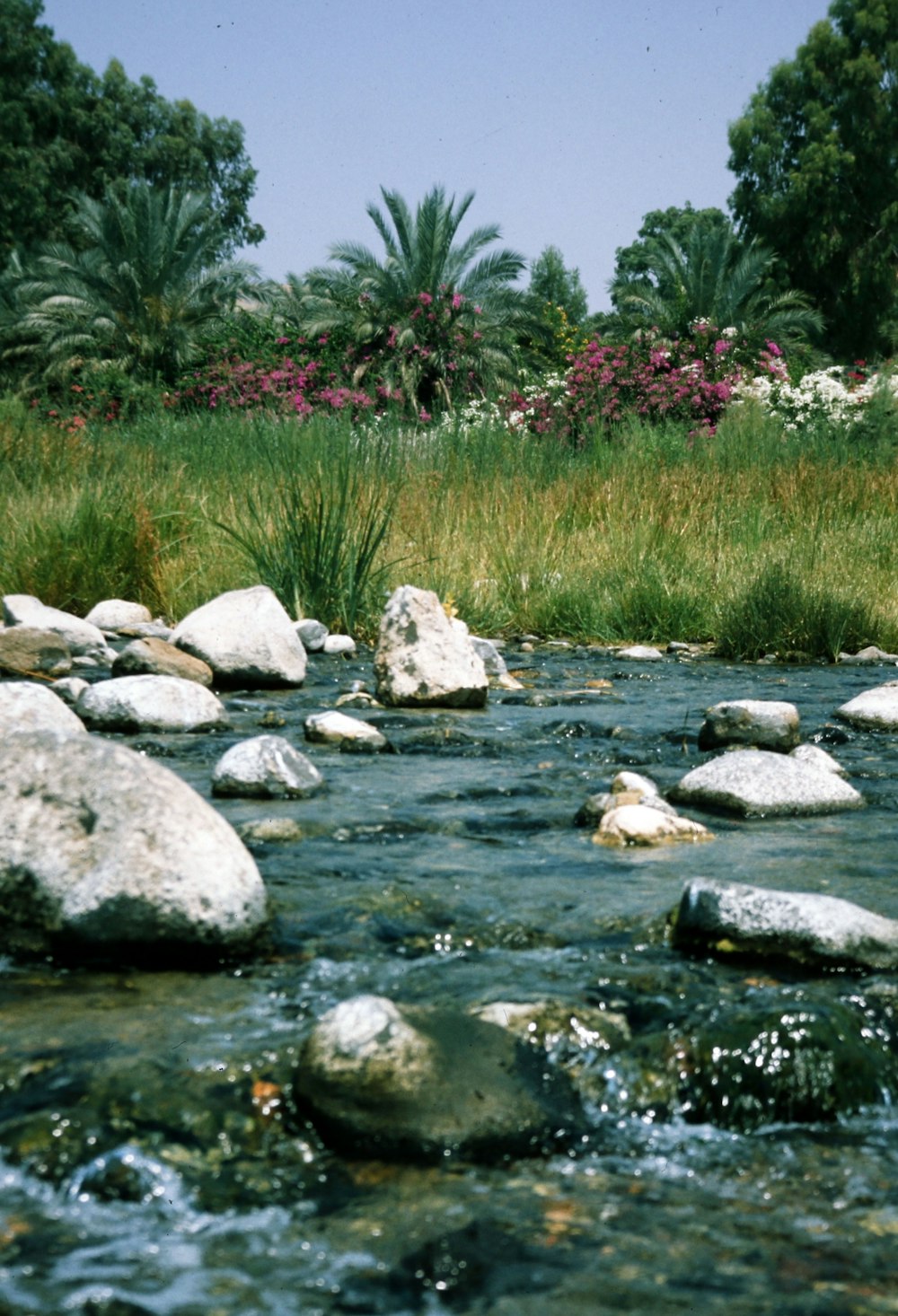 Rocas grises en un campo de hierba verde cerca del cuerpo de agua durante el día