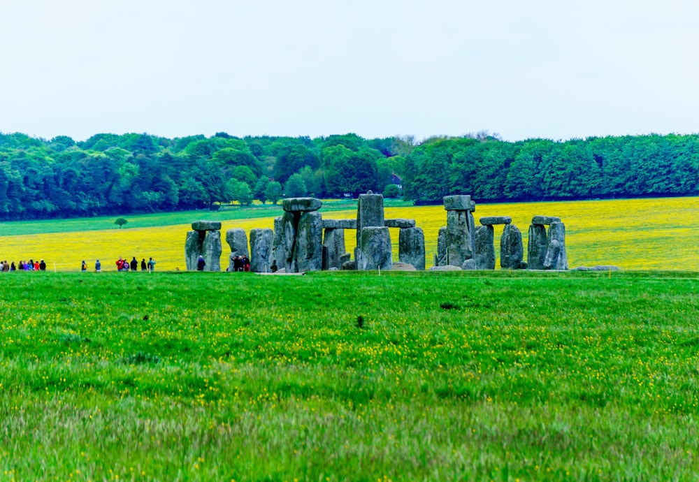 green grass field with gray rocks