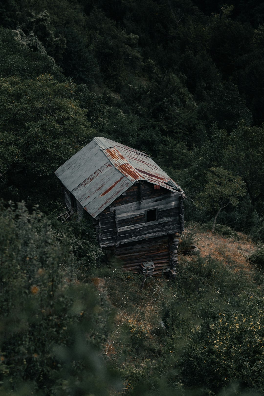 brown wooden house surrounded by green trees during daytime