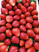 red strawberries on white ceramic plate