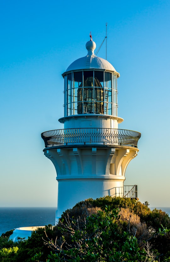 white and blue lighthouse under blue sky during daytime in Sugarloaf Point Lighthouse Australia