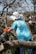 A person wearing a wide-brimmed hat and a blue t-shirt with a logo engages in a cleanup effort in a wooded area. They are pulling on some debris with orange gloves, surrounded by leafless trees.
