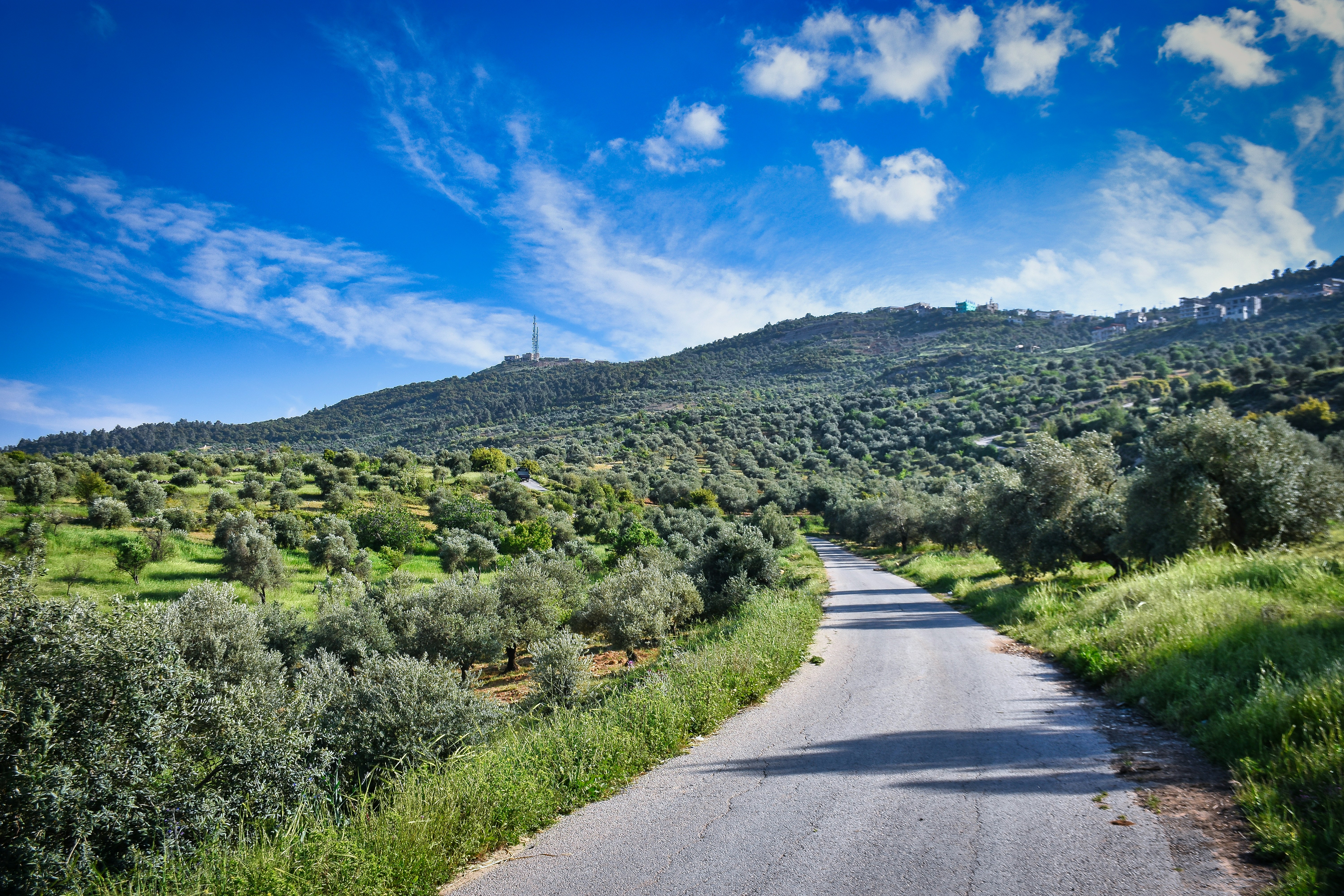 gray concrete road between green grass field under blue sky during daytime