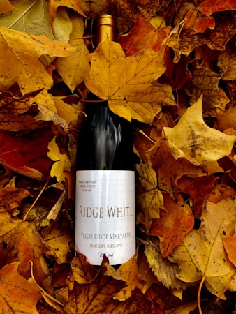 A bottle of Ridge White wine lies partially covered by a dense layer of vibrant autumn leaves. The rich colors of the leaves, ranging from deep red to bright yellow, create a warm and cozy background for the dark glass bottle.