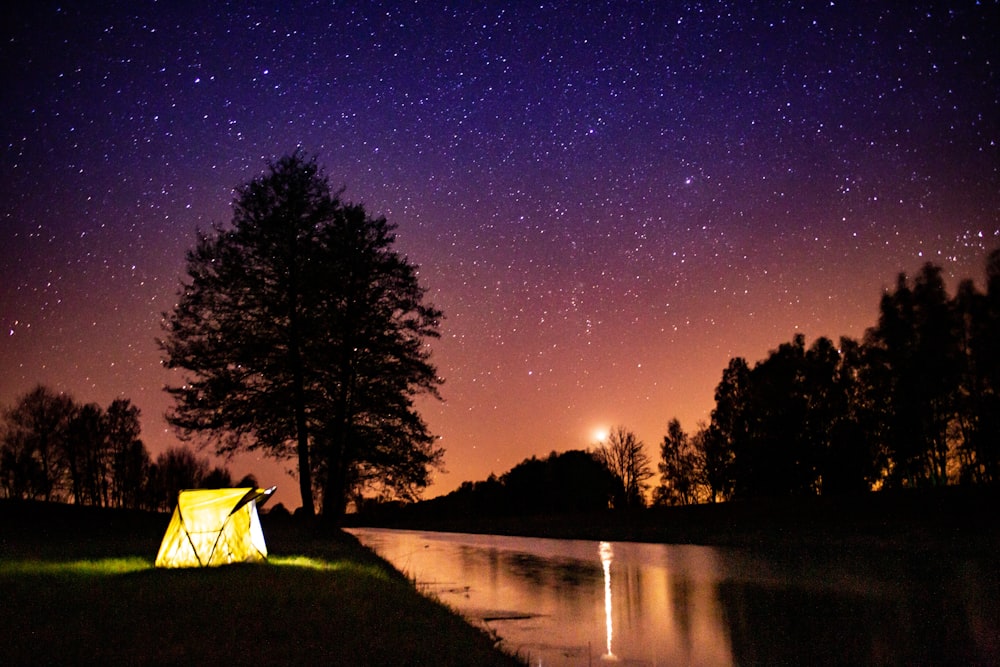 green trees near body of water during night time