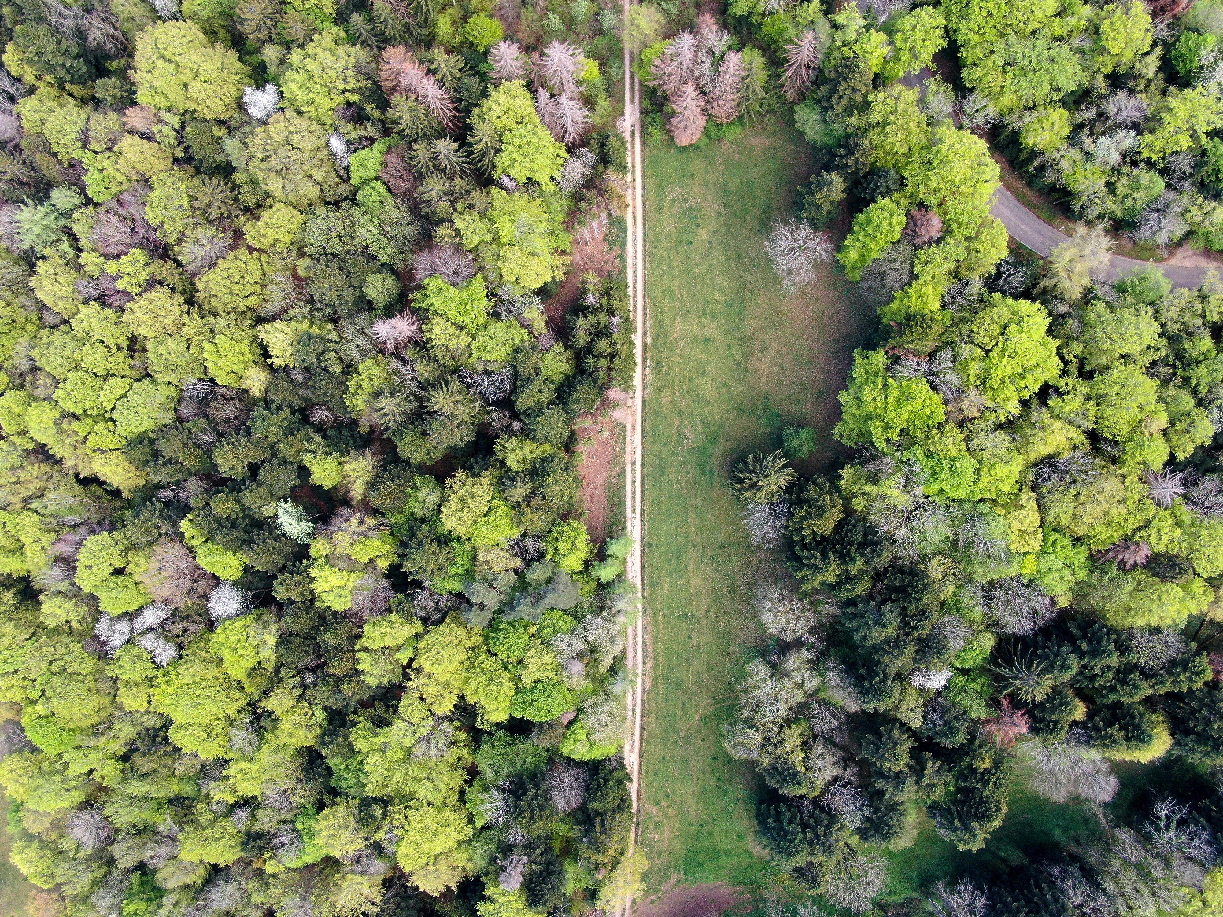 Photo by nathan030997