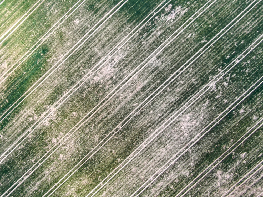 green and white wooden surface