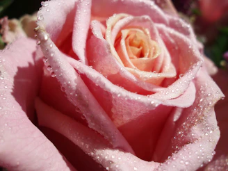 Close-up of delicate silk roses with dewdrop-like details on the petals.