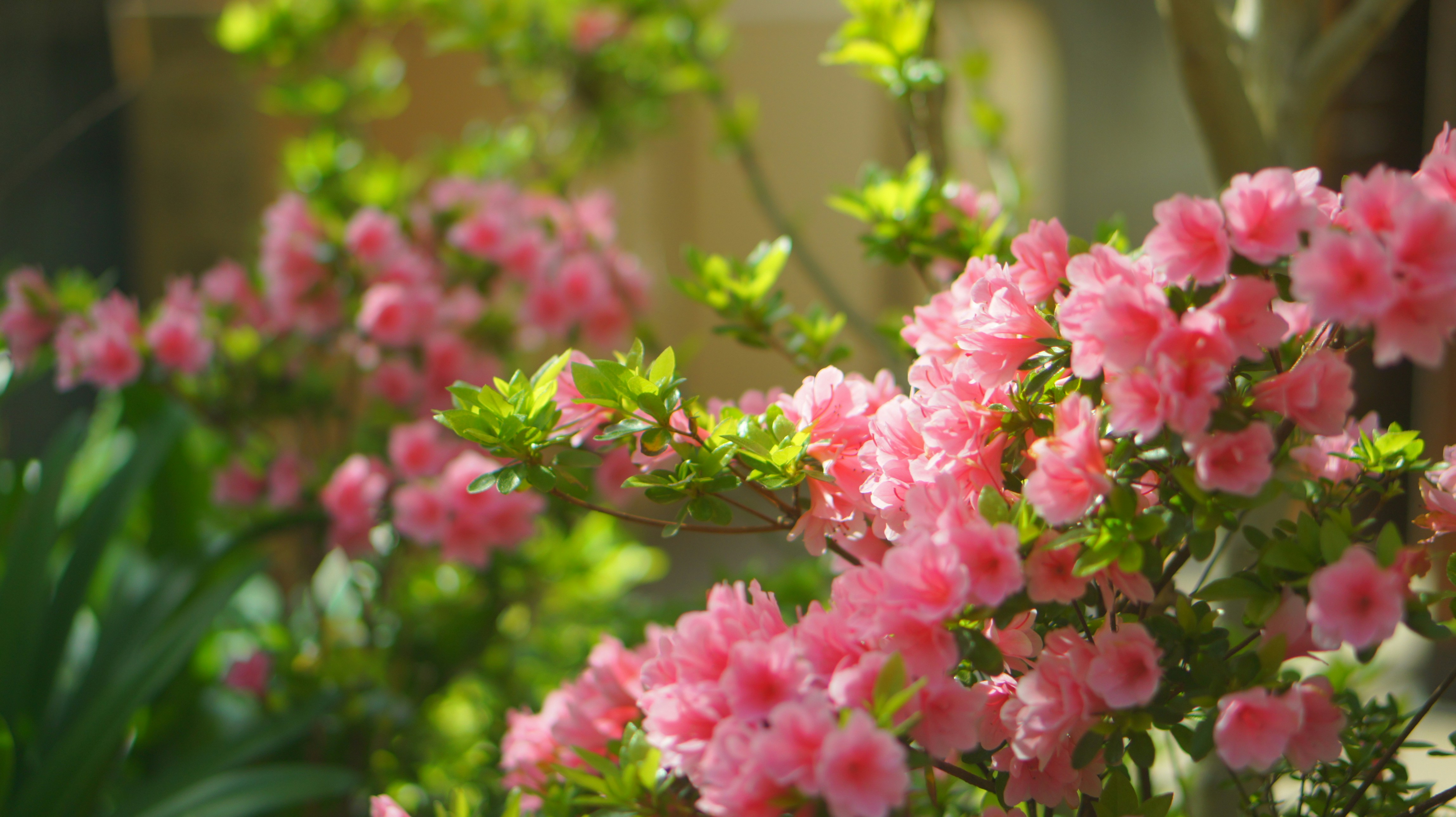 Photo by kiyomishiomura