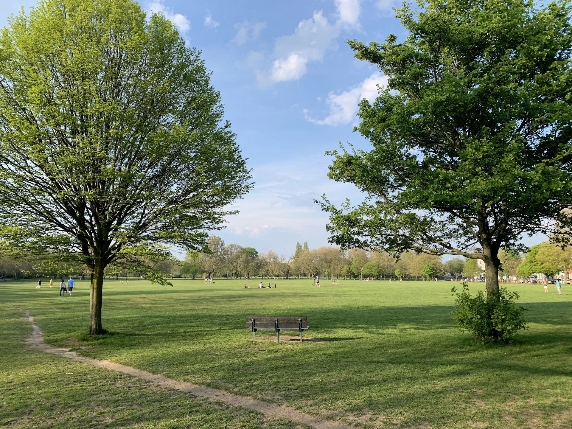 green grass field with trees under blue sky during daytime