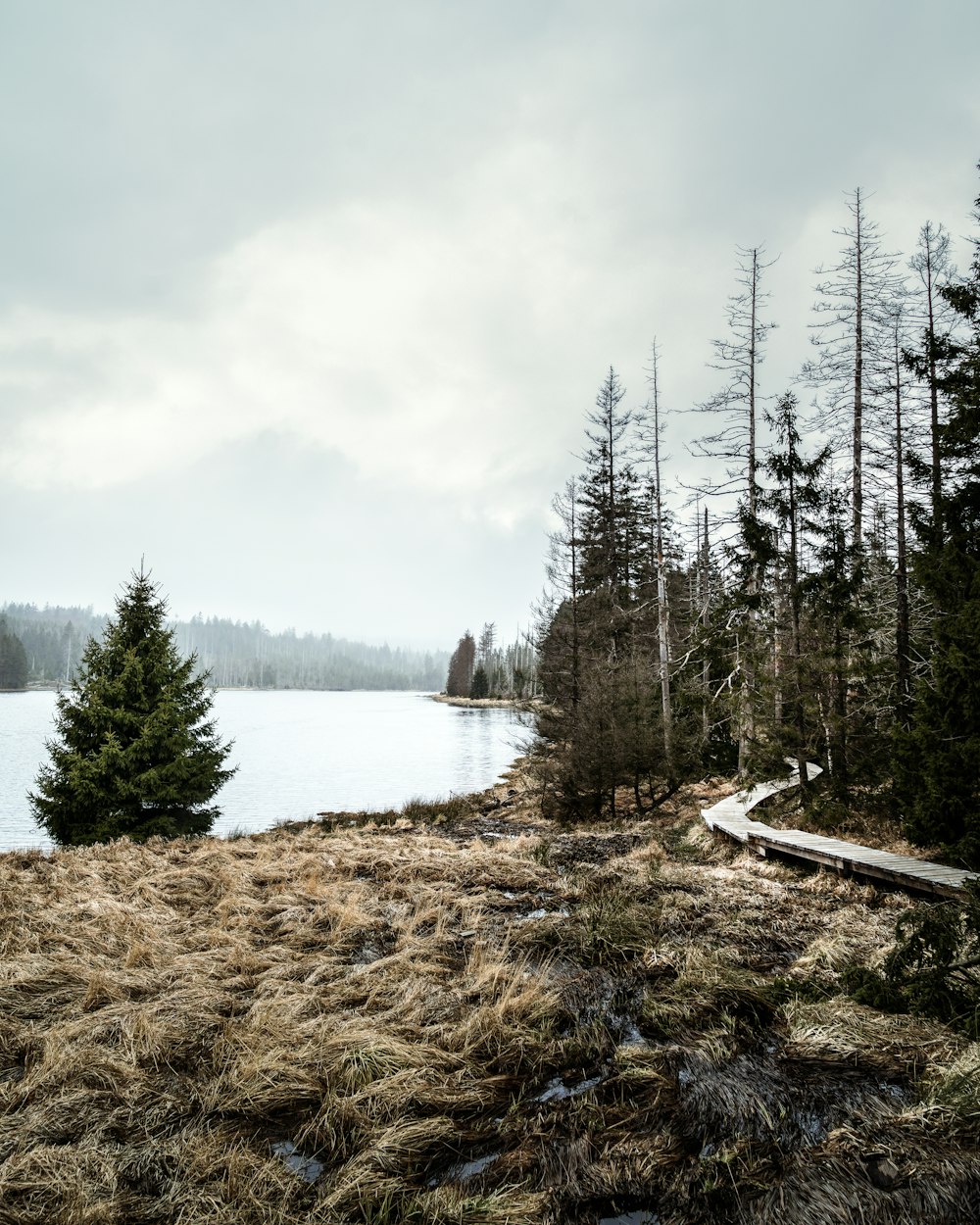 lake surrounded by green trees under white sky during daytime