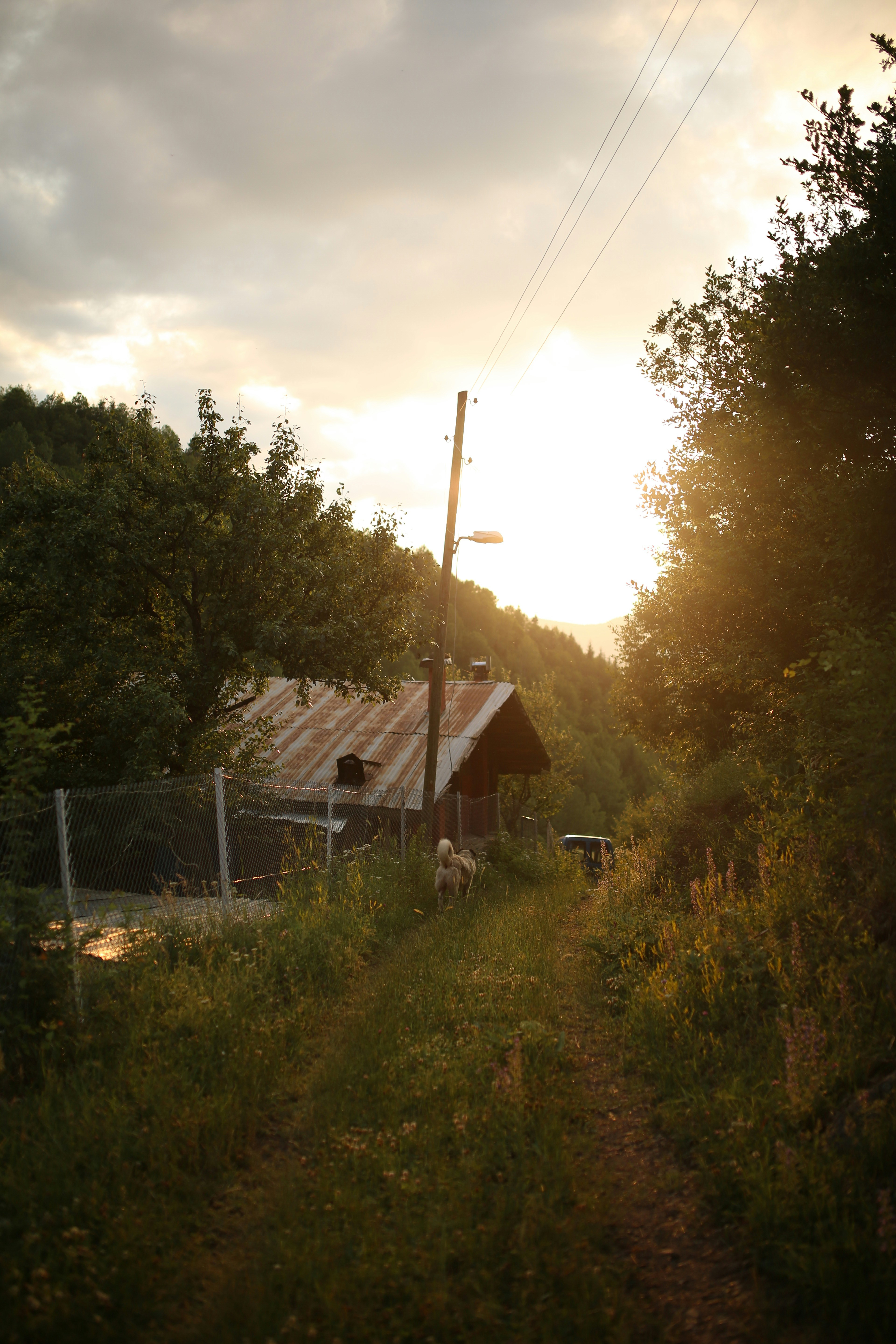 brown wooden house near green trees under cloudy sky during daytime