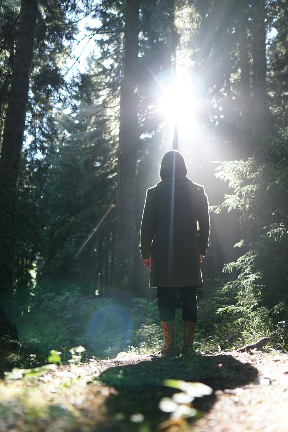 person in black hoodie standing on forest during daytime