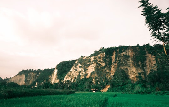 green grass field near brown mountain under white sky during daytime in Bukittinggi City Indonesia