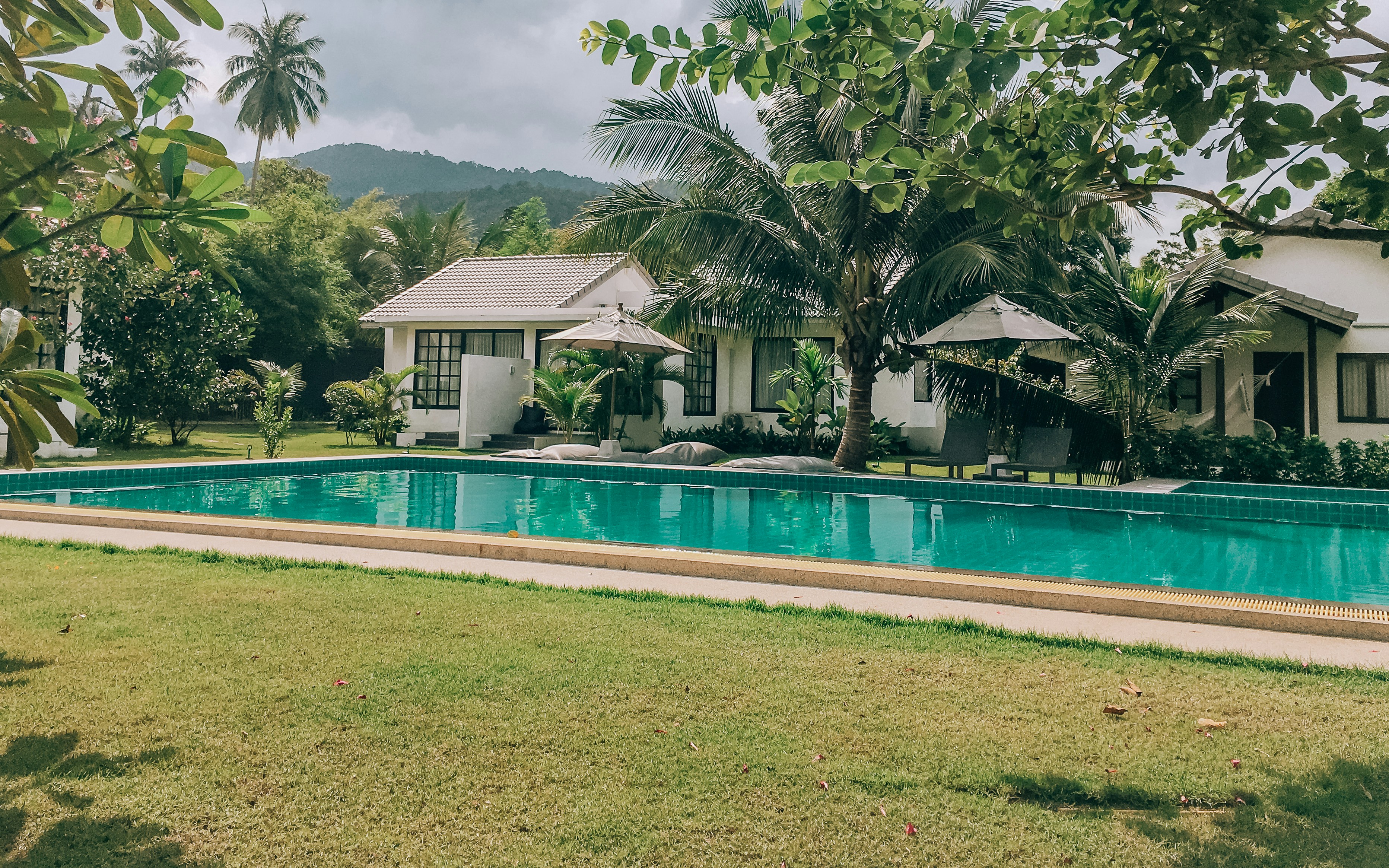 A stunning swimming pool with greenery around