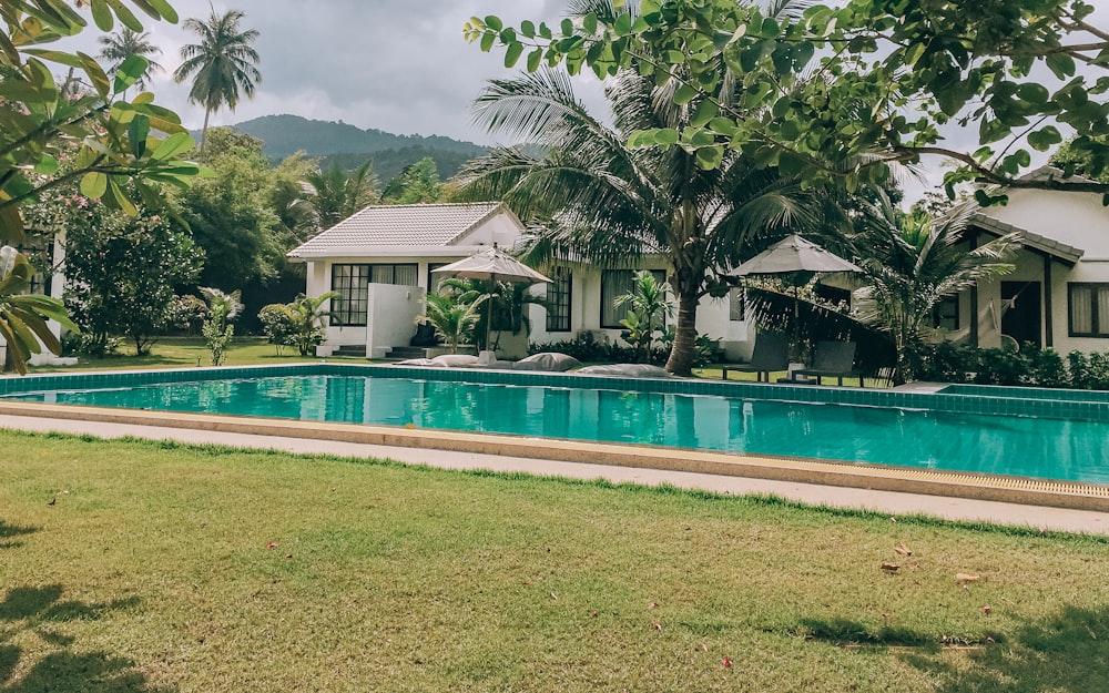 green palm tree beside swimming pool during daytime