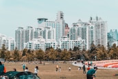 A large grassy park area with several people engaging in various activities. A row of tall modern apartment buildings and skyscrapers forms the backdrop, with an array of trees in front of the buildings. Some people are walking, others are sitting or standing, and children appear to be playing.