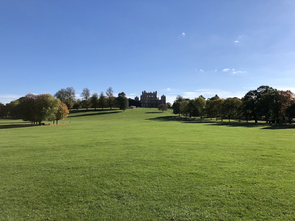 Grünes Grasfeld in der Nähe von Bäumen unter blauem Himmel tagsüber