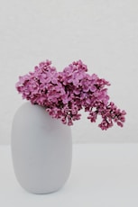 pink flowers in white ceramic vase