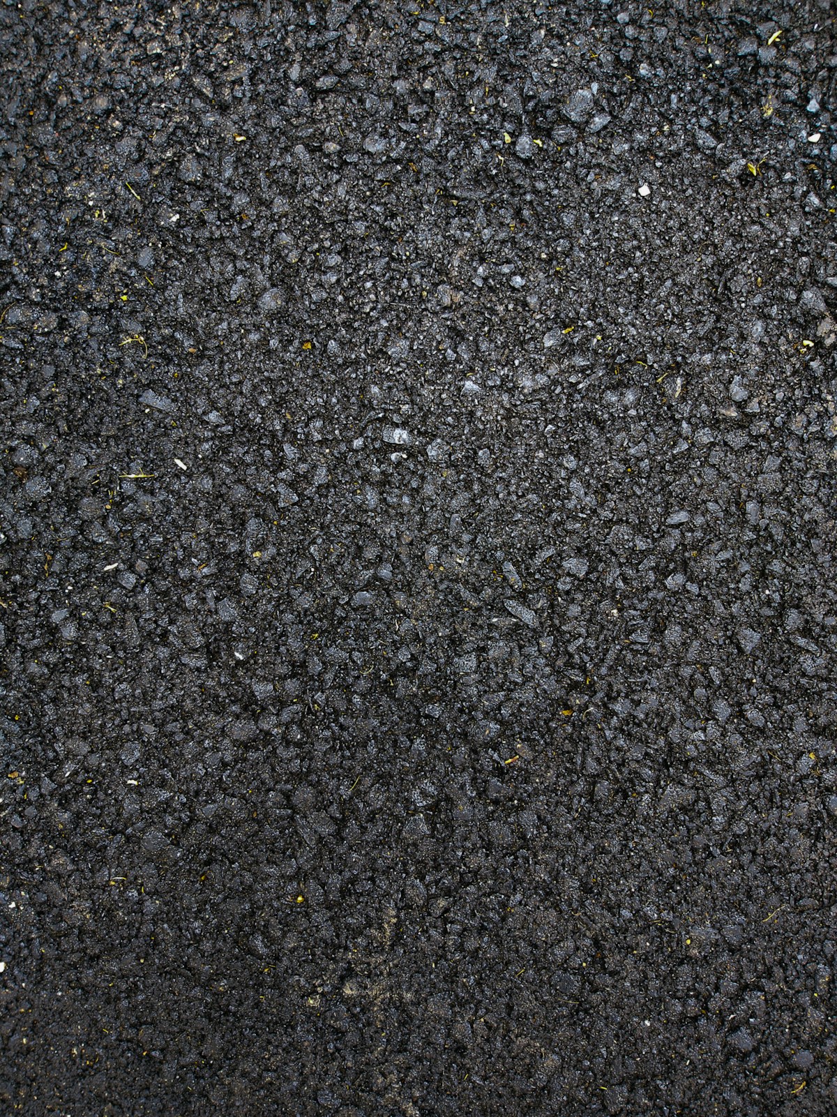 agricultural medieval farmland with fields and livestock