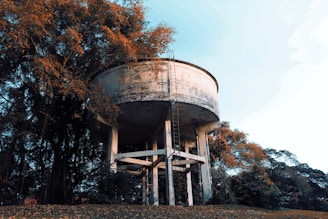 brown and white concrete building near trees during daytime