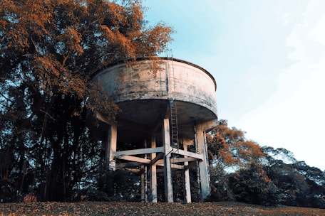 brown and white concrete building near trees during daytime
